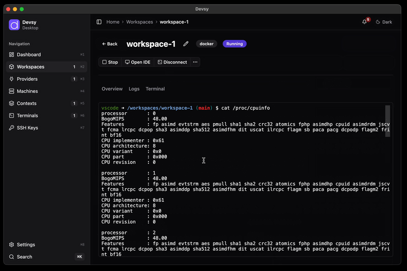 Devsy Desktop showing a running Docker workspace with an integrated terminal and CPU information output
